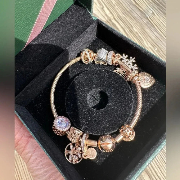 Pandora Limited edition Rose Gold bracelet set 10 charms,Very Rare to find - Picture 3 of 16
